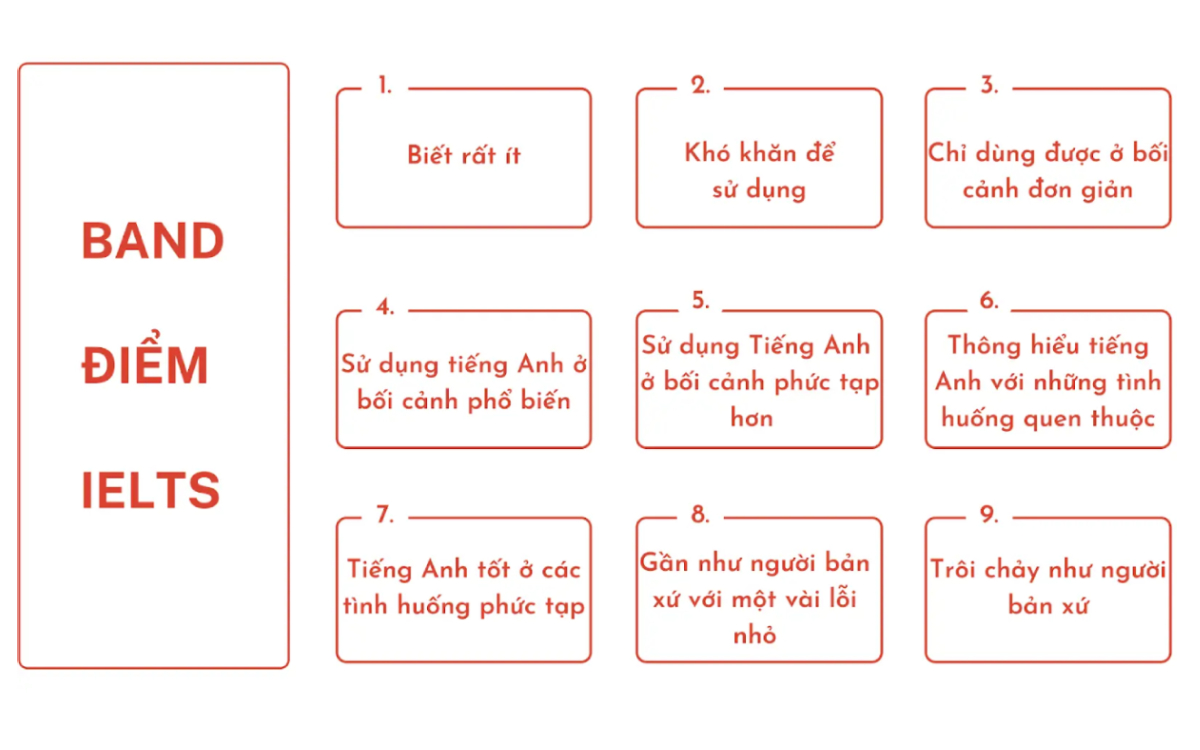 Để đạt được IELTS 8.0 cần bao nhiêu từ vựng?