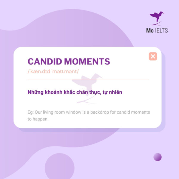 vocab-candid-moments-topic-ielts-photography-speaking Vocabulary Candid moments - Topic Photography