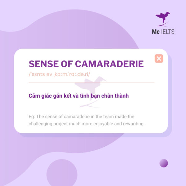 Vocabulary sense of camaraderie - Topic Competition