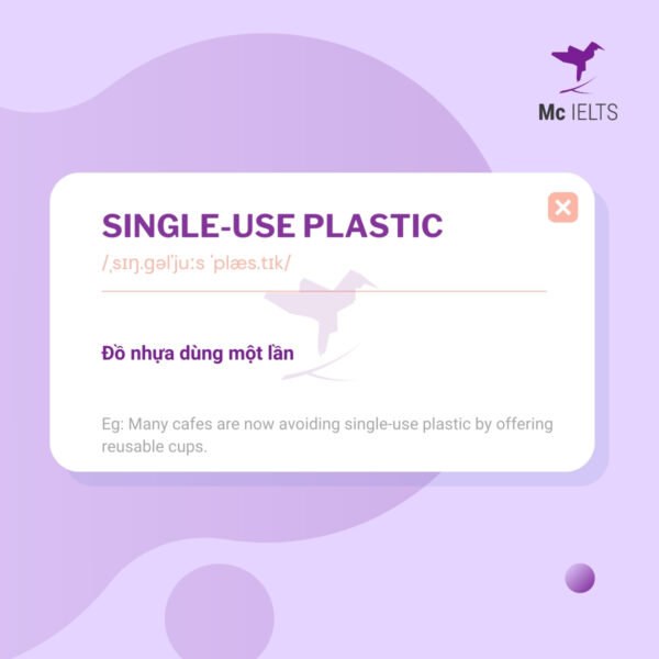 vocabulary-single-use-plastic-topic-ielts-pollution-speaking Vocabulary single use plastic topic Pollution