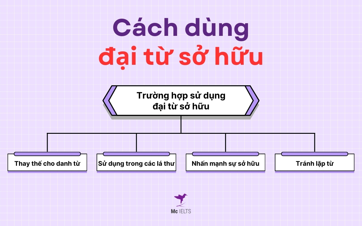 Cách sử dụng đại từ sở hữu của it, she, he,... là gì?