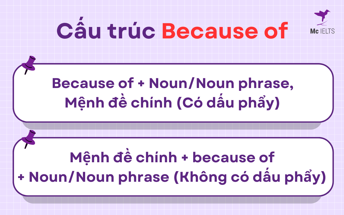 Giới thiệu về cấu trúc của Because of
