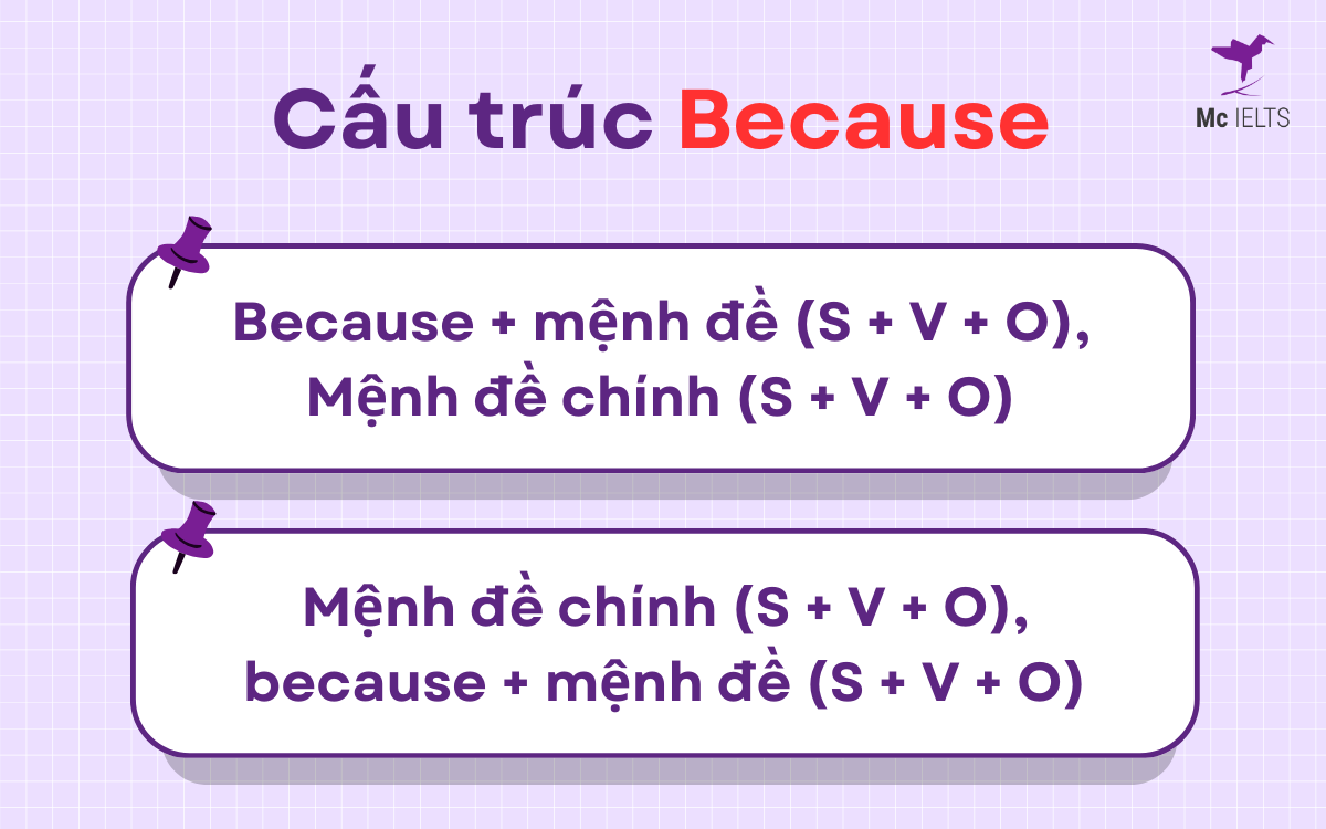 Giới thiệu về cấu trúc câu Because