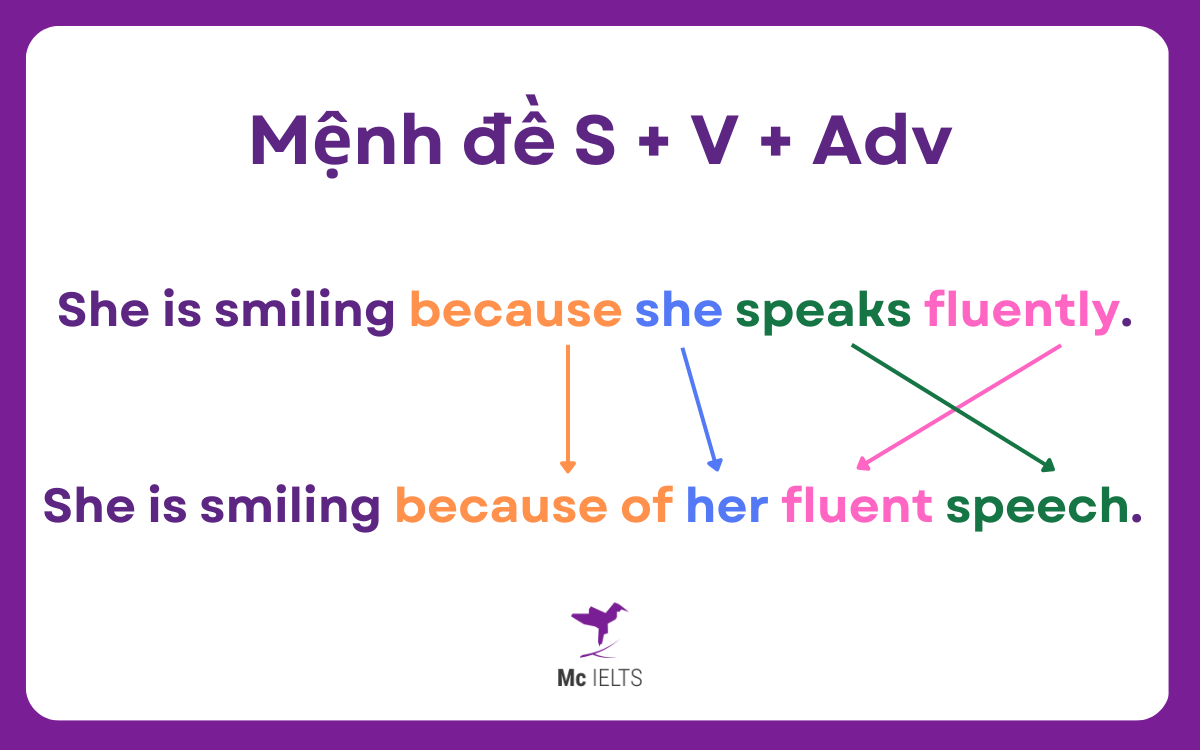 Mệnh đề Because có dạng: S + V + Adv