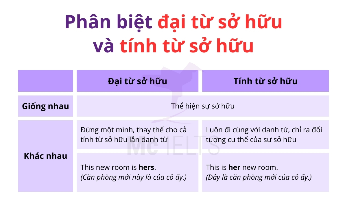 Phân biệt Possessive Pronouns và Possessive Adjectives