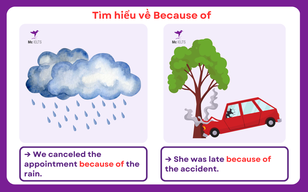 Ví dụ về Because of cấu trúc