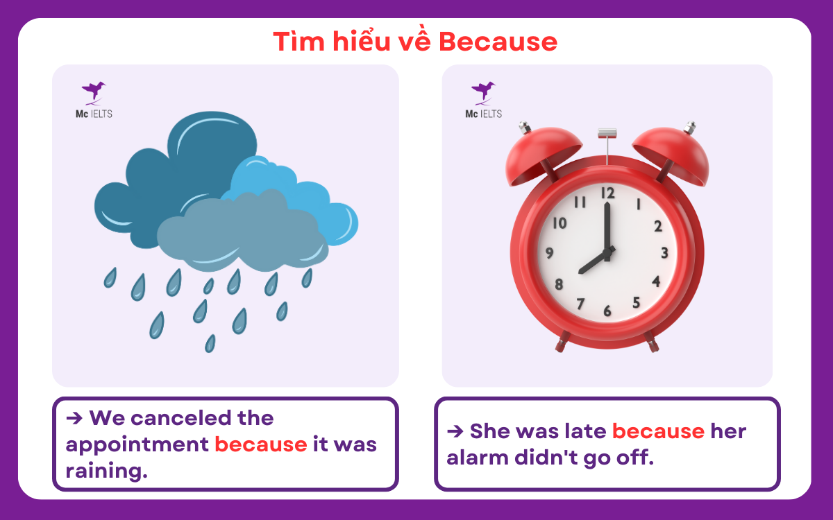 Ví dụ về cấu trúc với Because