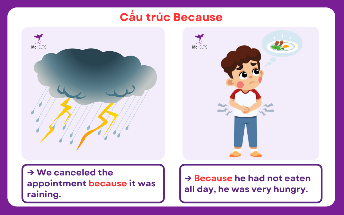 Ví dụ cấu trúc với Because