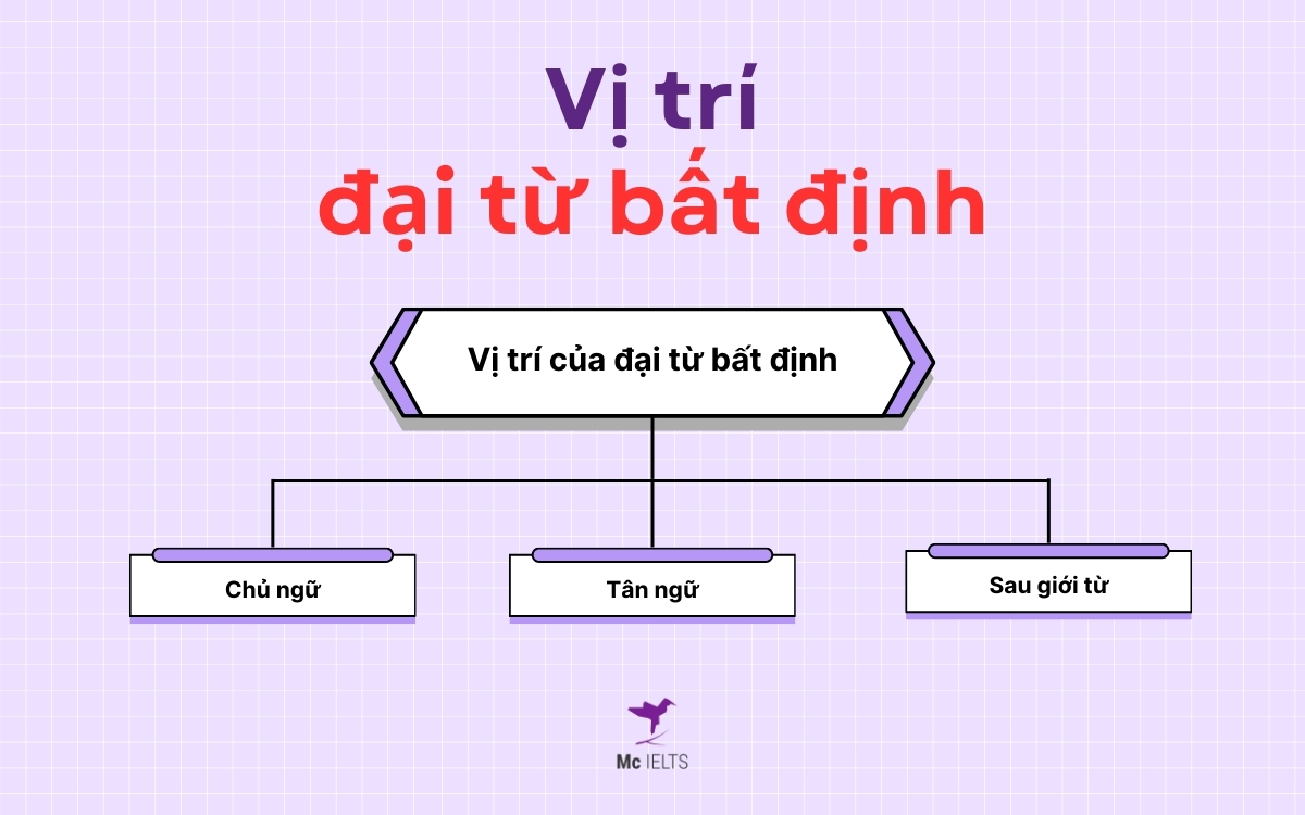 Vị trí của Indefinite Pronouns trong câu