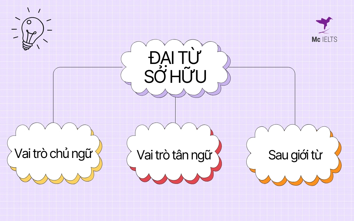 Cách dùng đại từ sở hữu trong câu