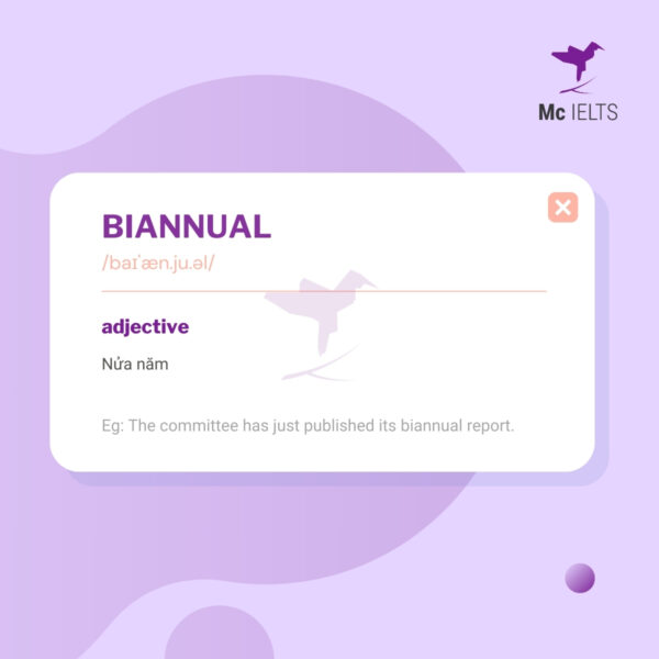 Vocabulary biannual topic Social Media