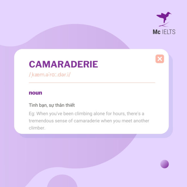 Vocabulary camaraderie topic Weekend