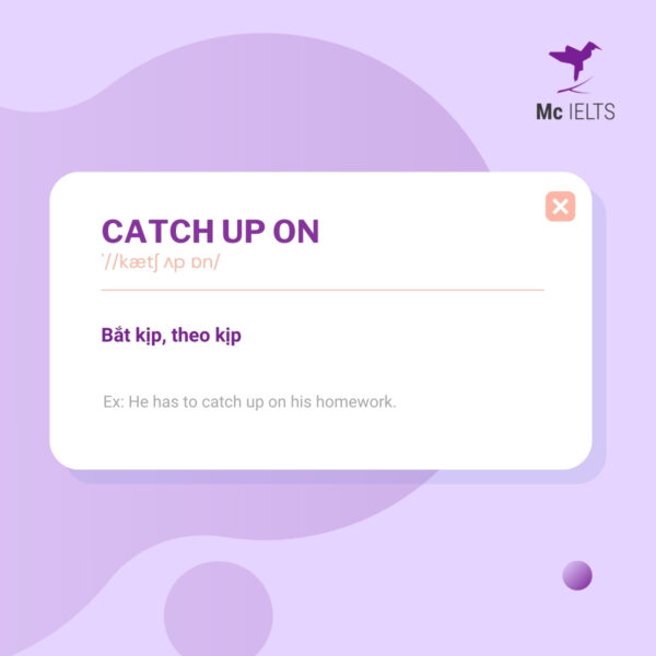 Vocabulary catch up on topic Weekend