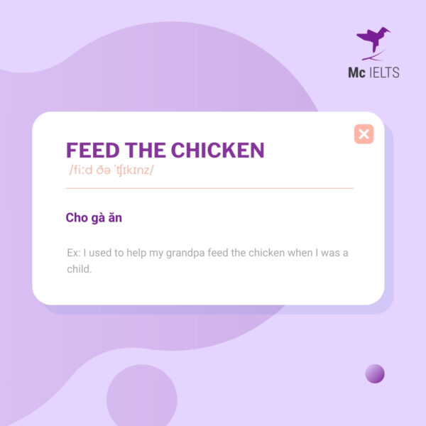 vocabulary-feed-the-chicken-topic-ielts-housework-and-cooking-speaking Vocabulary feed the chicken topic Housework and Cooking