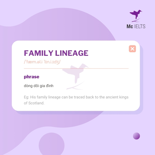 vocabulary-family-lineage-topic-ielts-name-speaking Vocabulary family lineage topic Name
