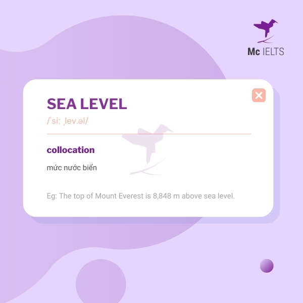 vocabulary-sea-level-topic-ielts-environment-speaking Vocabulary sea level topic Environment