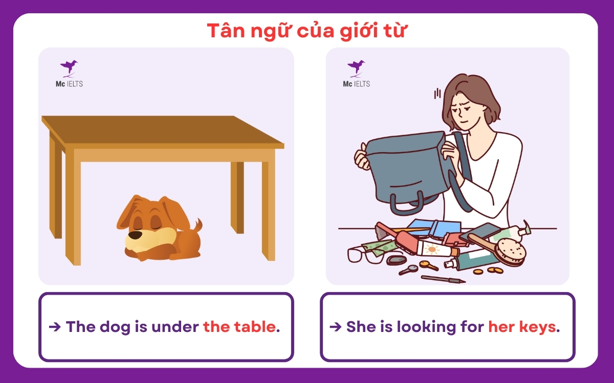 Tân ngữ của giới từ