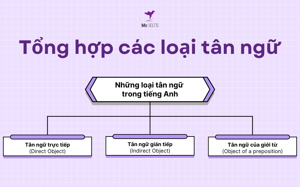 Tân ngữ của you là g? Tổng hợp những loại Object trong tiếng Anh