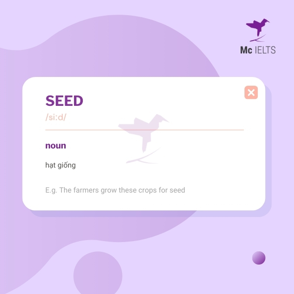 vocabulary-seed-topic-ielts-plants-speaking Vocabulary seed topic Plants & Gardening