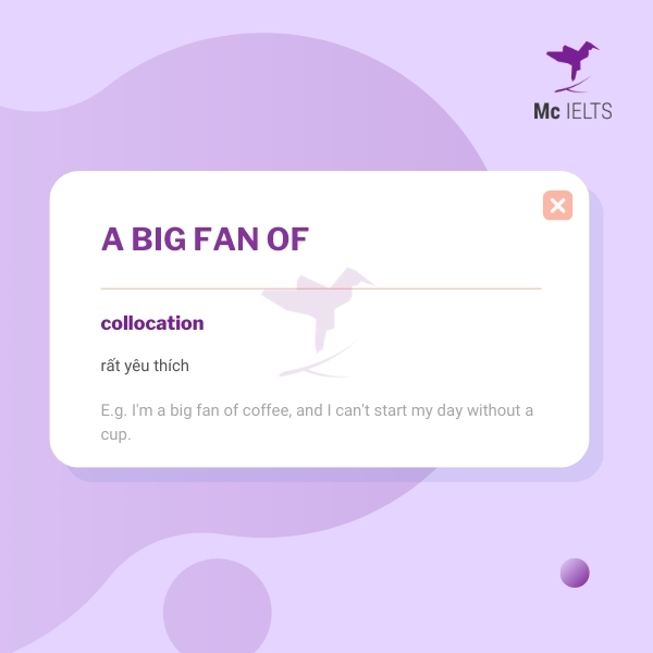 vocabulary-a-big-fan-of-topic-bags-ielts-speaking Vocabulary a big fan of topic Bags